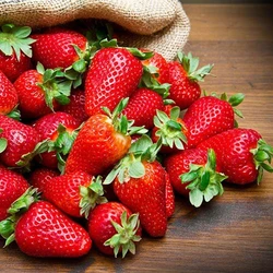 Fresh Sweet Strawberries