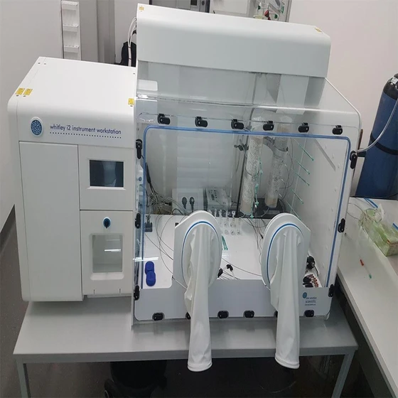 anaerobic-lab-chamber-2.webp