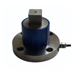 Torque Static Sensor
