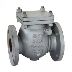 Swing Check Valve Groove Ends, Automation Grade Automatic