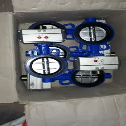 Pharmaceutical Application Butterfly Valve, Color BLACK