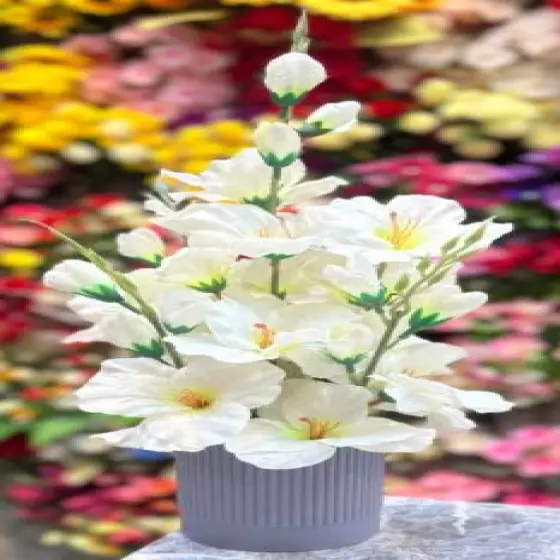 15564711-0-131zWbIp.webp