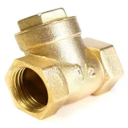 Swing Check Valve, Size 40 mm