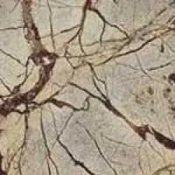 Brazilian Teak Marble, Thickness 3cm
