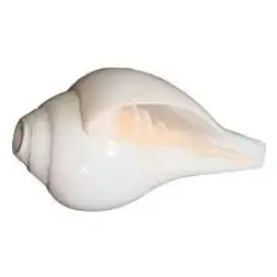 Shankh - Carved Home decor, Suitable For Home