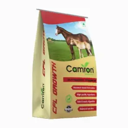 Cattle Feed contract manufacturer, Moisture 10