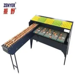 Farm Egg Packing Machine, Bird Type Duck
