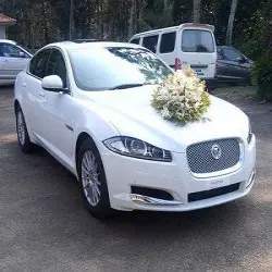 Liva Car Rentals, No Of Persons 31