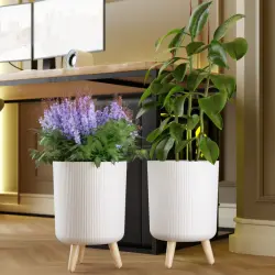 Flower Pot, UsageApplication Decoration
