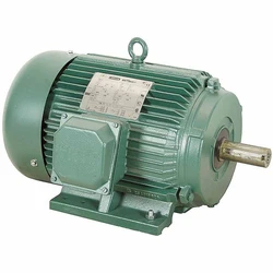 Flour Mill Motor