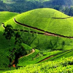 Chikmagalur Hill Station Travel Package, No of Days 3 - 6 Days