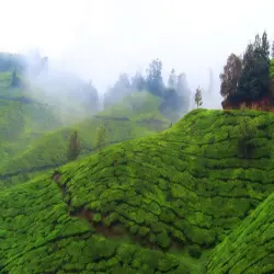 Yercaud Hill Station Tour Package, No of Days 3 - 6 Days