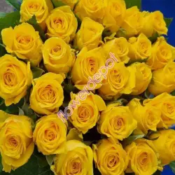 Brighten Your Day Roses Flowers, Quality 1st quality