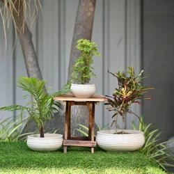 Ceramic Bonsai Pots