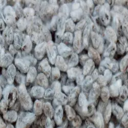 Chemical Mahasamrat malti micronutrients, Purity 98