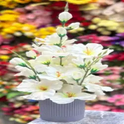 Gulab Carnation, Size 20 Pieces