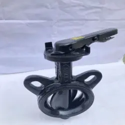 Ci Butterfly Valve, Power Manual