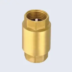 Multipurpose Check Valve, Media Water
