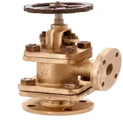 Brass Check Valve, Media Water