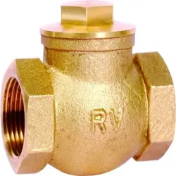 Horizontal Check Valve, End Connection Screwed