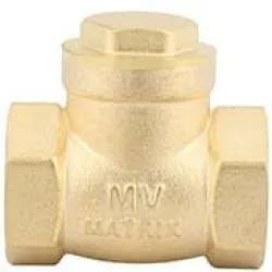 25mm Check Valve, Brand SKME