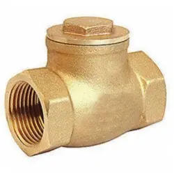 25mm Vertical Check Valve, I Deal In New Only