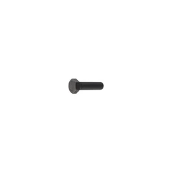 Hexagon Black Screws