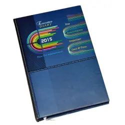 New Year Diaries, UsageApplication College
