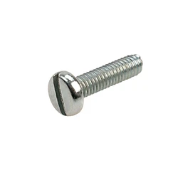 Head Slotted Screw