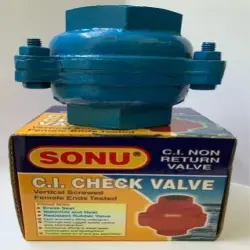 25mm CI Check Valve, Thickness 4 mm