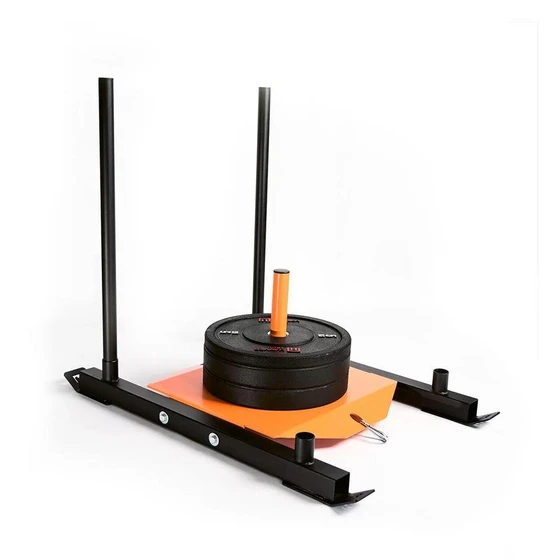 dog-sled-crossfit-2.webp