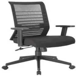 Office Chair, Arm Type Fixed Arms