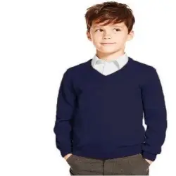 Daffodil School V Sweater, Pattern Plain
