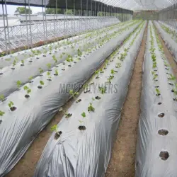 Agricultural Mulch Film, Packaging Type Roll
