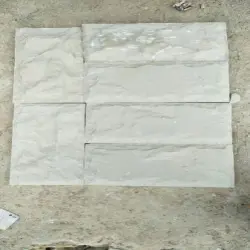 Gwalior Mint Sandstone, Size Millimetre 300x300 mm