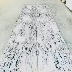 S White, Stone Form Big Slab