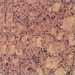Copper Silk Granite, Application Area Flooring, Wall Tile, Countertops
