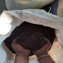 Organic Vermicompost Manure, Shelf Life 24 Months