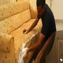 Sofa Cleaning Service, Service Mode Offline