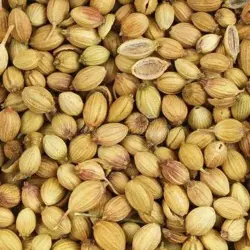 SURINDER K-7 CORIANDER, Physical Form Broken Split