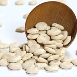GS10 PEAS SEEDS, Brand ADVANTA GS -10