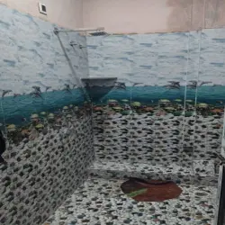 Tiles Wall, No of Tiles Per Box 6
