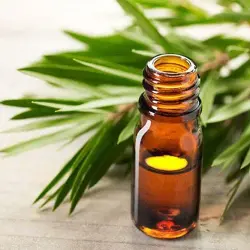 Pack of 2 - HappiSage 100 Natural and Pure Essential Oil for Hair, Skin, Face Rosemary Tea Tree, Packaging Type Drum