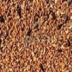 LSP Powder For Cattle Feed, Fat 25 Min