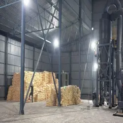Dolomite Powder, Brand Eshan Gold