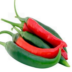 Green Red Chilli, Zero calories, lose weight