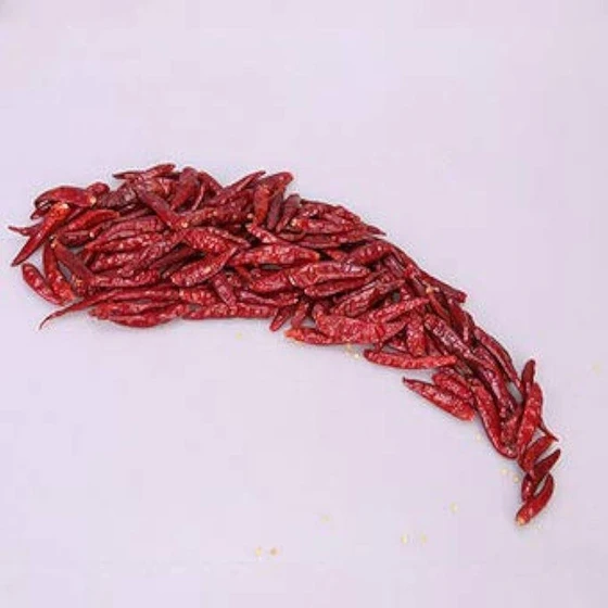 spicy-red-chilli-2.webp