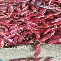 Guntur Sannam 334 S10 Dry Red Chilli