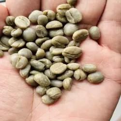 Mysore Nuggets Extra Bold Green Arabica Coffee Beans