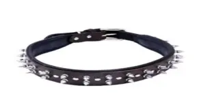 Leather Dog Collars By Sparrow Daughter Overseas